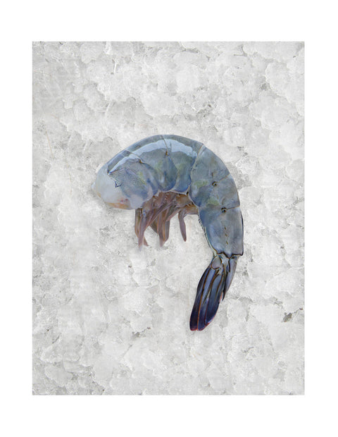 Camarón Azul Sin Cabeza BLOCK 2.27kg