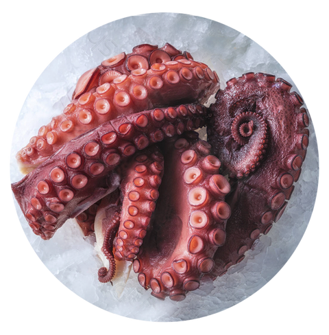 Pulpo Maya Artesanal